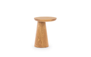 Fungi Fi 40